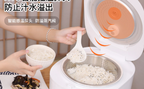 日本VDADA電飯煲米湯分離家用電飯煲4L電飯鍋家人用可預約粥湯鍋